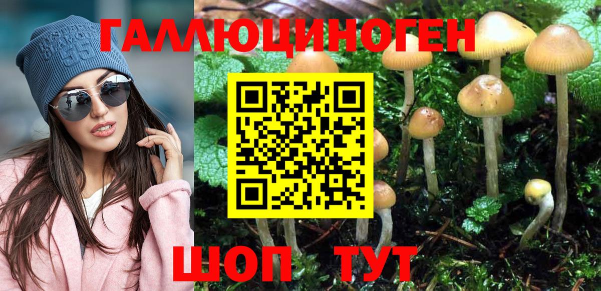 Псилоцибиновые грибы ЛСД Арсеньев