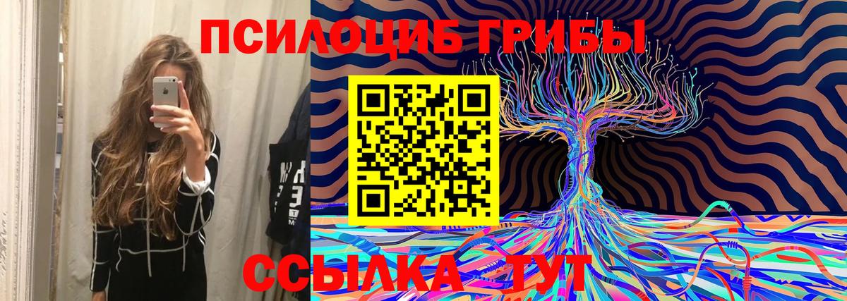 Арсеньев  Псилоцибиновые грибы MAGIC MUSHROOMS  даркнет сайт  Вход с VPN 